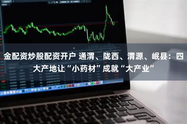 金配资炒股配资开户 通渭、陇西、渭源、岷县：四大产地让“小药材”成就“大产业”